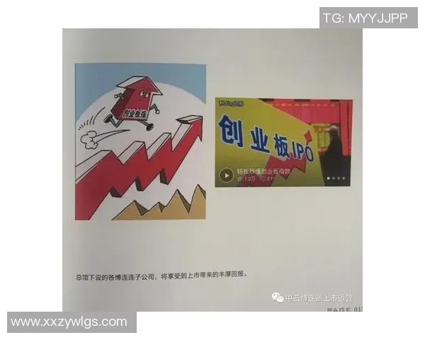 深入分析北京排球队反击战术的核心策略与实践效果