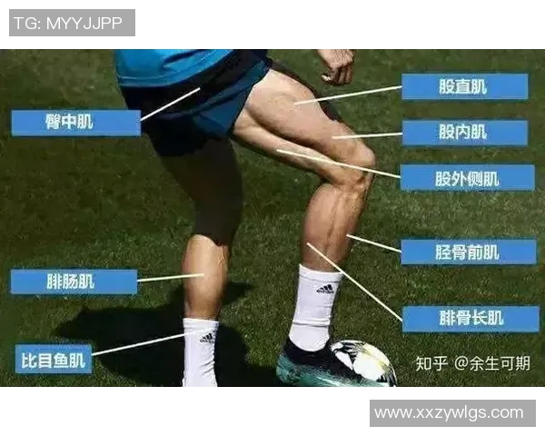 足球明星的体脂揭秘：如何保持完美身材与竞技状态的平衡